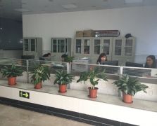 蜜桃成品人免费视频展示