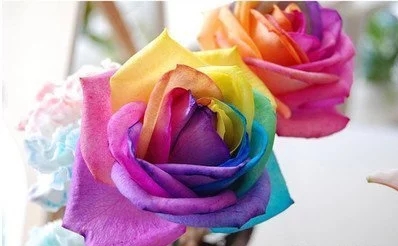 耐高溫塗料應該怎樣清潔和保養